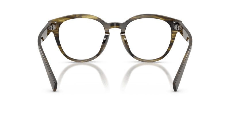 Dolce & Gabbana DG3421 in Striped Green / Demo Lens - Back View
