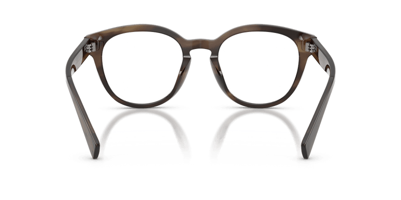 Dolce & Gabbana DG3421 in Striped Tobacco / Demo Lens - Alternate View