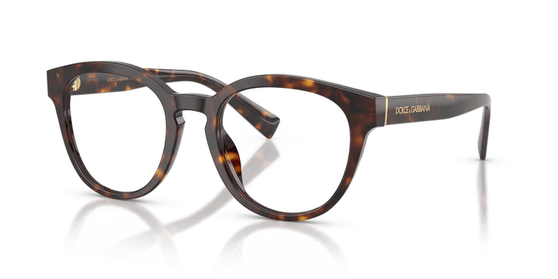 Dolce & Gabbana DG3421 in Havana / Demo Lens - Alternate View