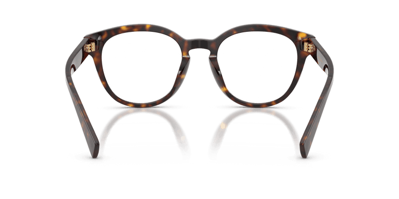 Dolce & Gabbana DG3421 in Havana / Demo Lens - Alternate View