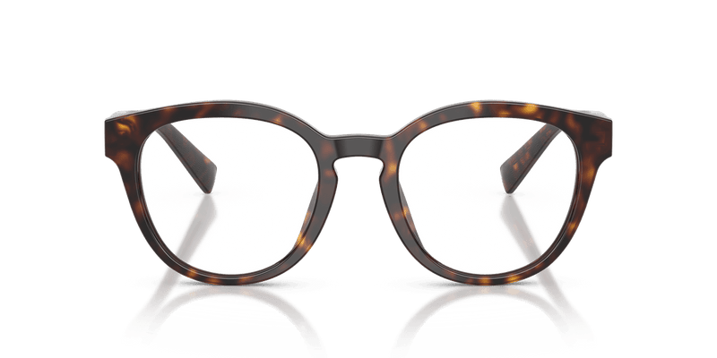 Dolce & Gabbana DG3421 in Havana / Demo Lens - Alternate View