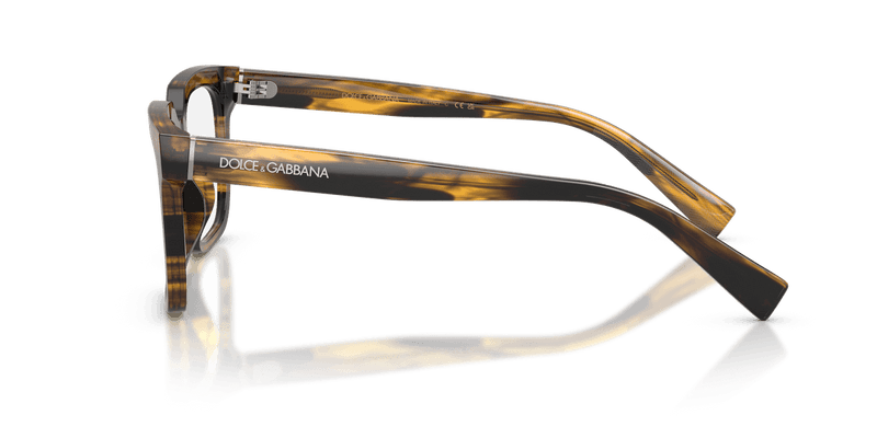 Dolce & Gabbana DG3422 in Striped Brown / Demo Lens - Side View