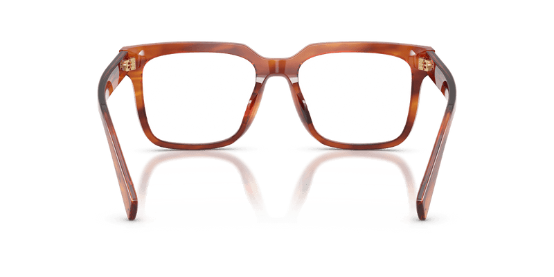 Dolce & Gabbana DG3422 in Striped Ginger / Demo Lens - Alternate View