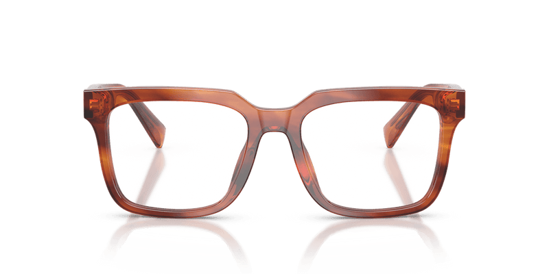 Dolce & Gabbana DG3422 in Striped Ginger / Demo Lens - Alternate View