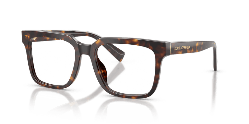 Dolce & Gabbana DG3422 in Havana / Demo Lens - Alternate View