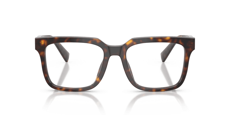 Dolce & Gabbana DG3422 in Havana / Demo Lens - Alternate View
