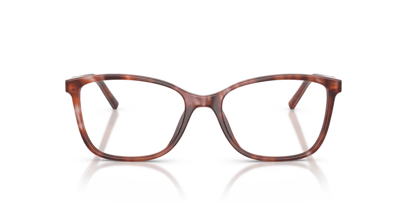Dolce & Gabbana DG3424 in Havana Brown (3444) - Back View