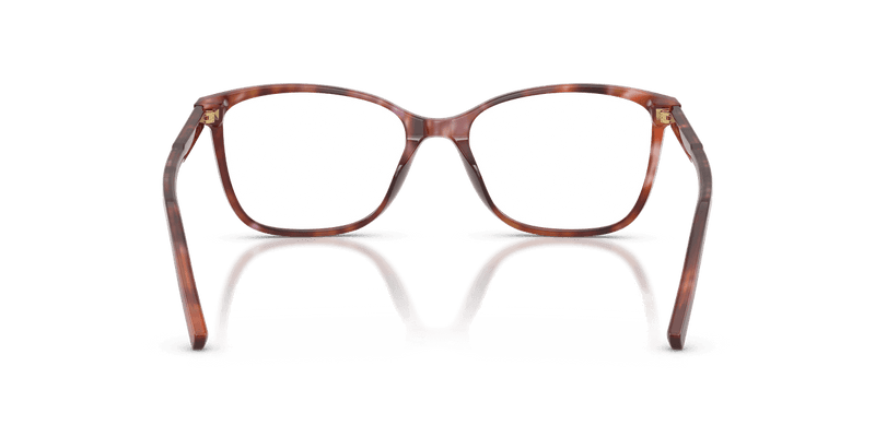 Dolce & Gabbana DG3424 in Havana Brown (3444) - Alternate View