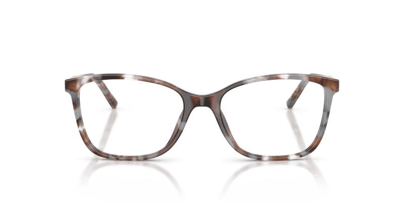 Dolce & Gabbana DG3424 in Havana Grey (3445) - Alternate View
