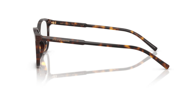 Dolce & Gabbana DG3424 in Havana (502) - Alternate View