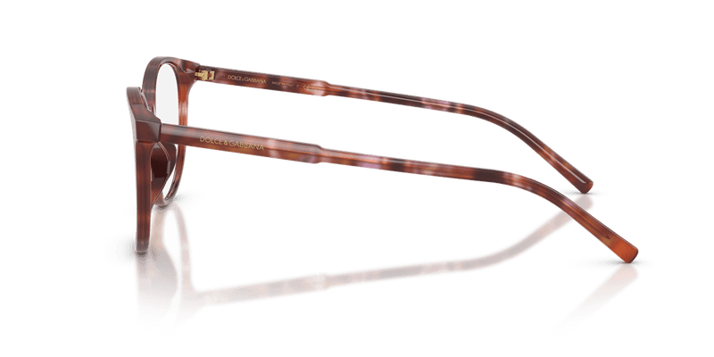 Dolce & Gabbana DG3425 in Havana Brown (3444) - Alternate View