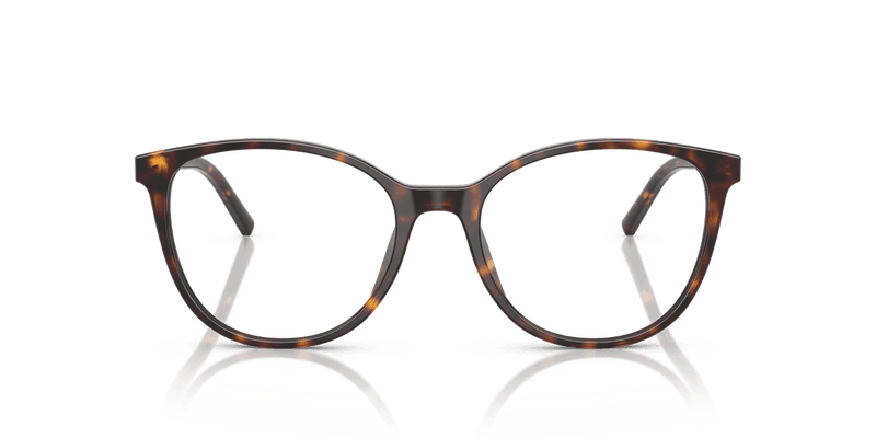 Dolce & Gabbana DG3425 in Havana (502) - Alternate View