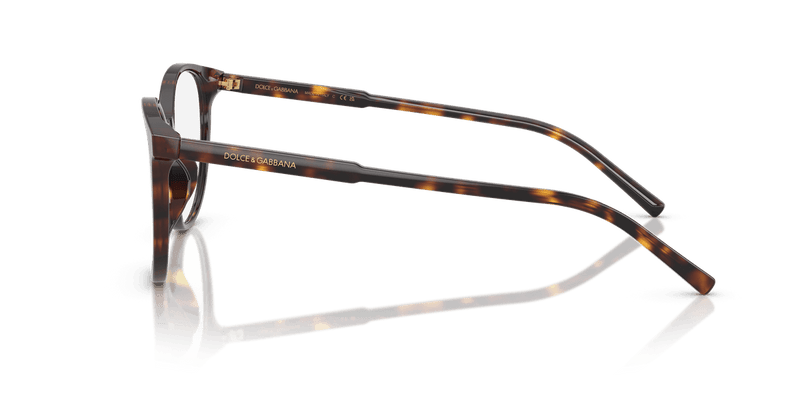 Dolce & Gabbana DG3425 in Havana (502) - Alternate View