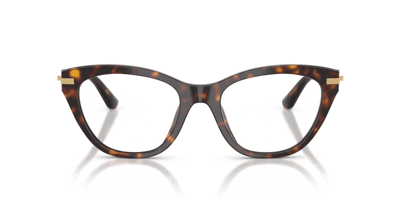 Dolce & Gabbana DG3428 in Havana / Demo Lens - Alternate View