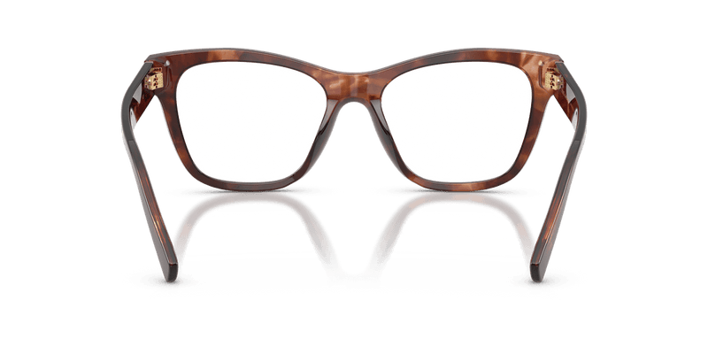 Dolce & Gabbana DG3430 in Dark Red Havana / Demo Lens - Back View
