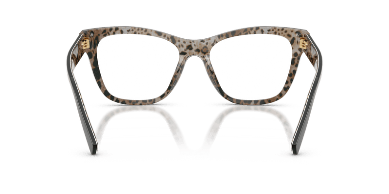 Dolce & Gabbana DG3430 in Black On Leo Brown / Demo Lens - Alternate View