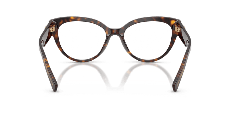 Dolce & Gabbana DG3440 in Havana (502) - Alternate View