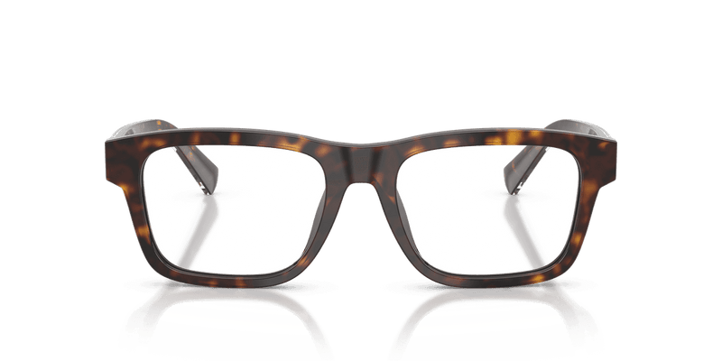 Dolce & Gabbana DG3446 in Havana (502) - Alternate View