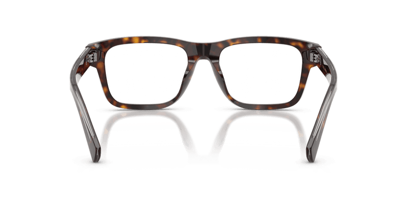 Dolce & Gabbana DG3446 in Havana (502) - Alternate View