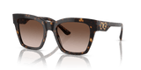 Havana / Gradient Brown