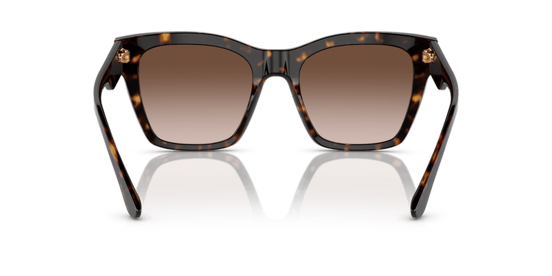 Dolce & Gabbana DG4384 in Havana / Gradient Brown - Alternate View