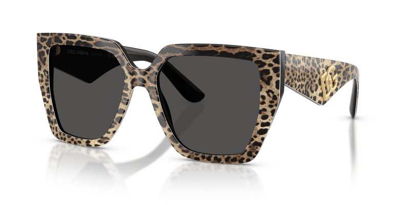 Dolce & Gabbana DG4438 in Leo Brown On Black / Dark Grey (316387) - Front View