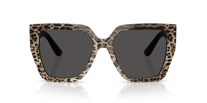Dolce & Gabbana DG4438 in Leo Brown On Black / Dark Grey (316387) - Front View
