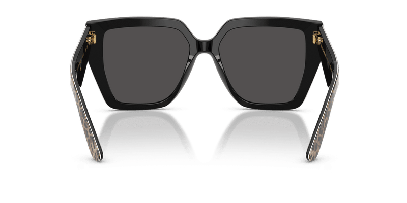 Dolce & Gabbana DG4438 in Leo Brown On Black / Dark Grey (316387) - Front View