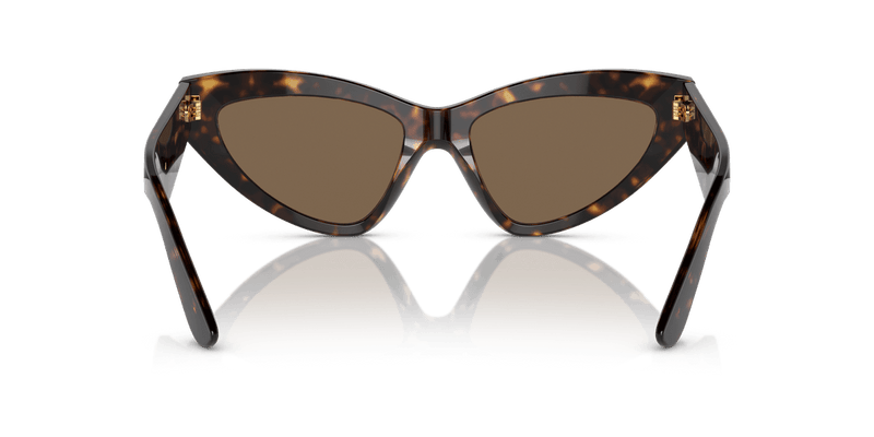 Dolce & Gabbana DG4439 in Havana / Dark Brown - Alternate View