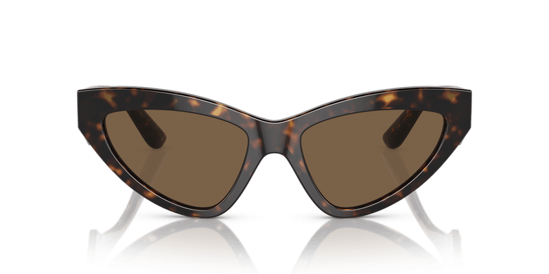 Dolce & Gabbana DG4439 in Havana / Dark Brown - Alternate View