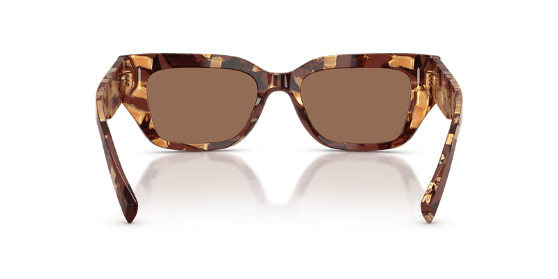 Dolce & Gabbana DG4462 in Pearl Havana Brown / Dark Brown - Back View