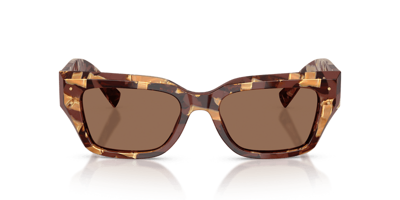 Dolce & Gabbana DG4462 in Pearl Havana Brown / Dark Brown - Temple Detail