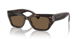 Havana / Dark Brown