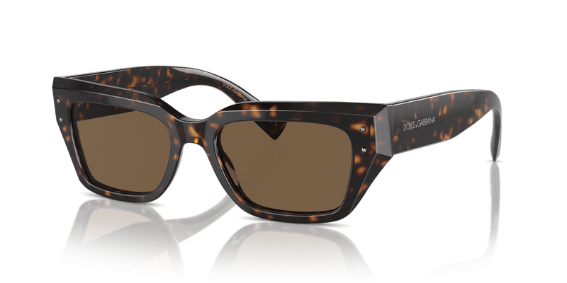 Dolce & Gabbana DG4462 in Havana / Dark Brown - Alternate View