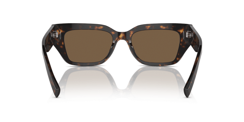 Dolce & Gabbana DG4462 in Havana / Dark Brown - Alternate View