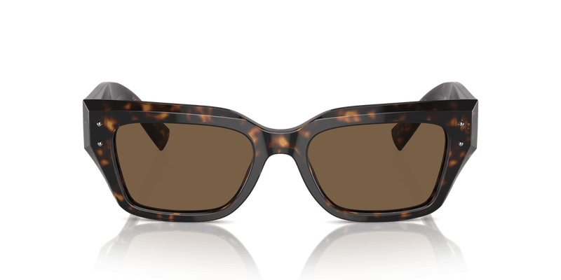 Dolce & Gabbana DG4462 in Havana / Dark Brown - Alternate View