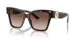 Havana / Brown Gradient