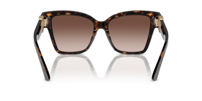 Dolce & Gabbana DG4470 in Havana / Brown Gradient - Alternate View