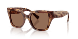 Pearl Havana Brown / Dark Brown