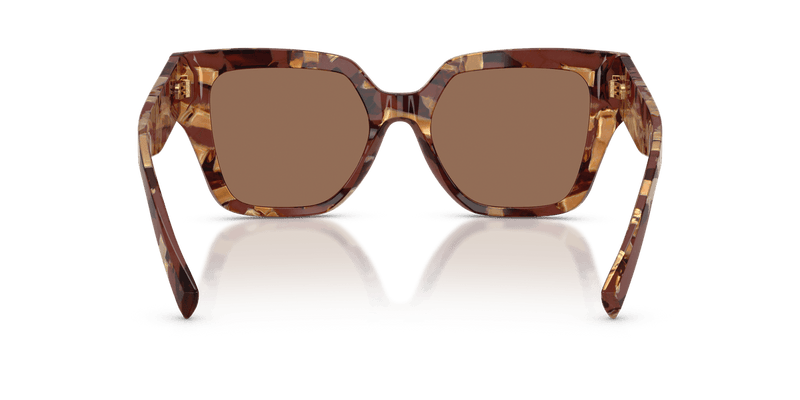 Dolce & Gabbana DG4471 in Pearl Havana Brown / Dark Brown - Back View