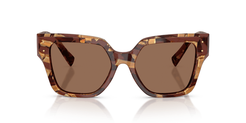 Dolce & Gabbana DG4471 in Pearl Havana Brown / Dark Brown - Temple Detail