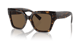 Havana / Dark Brown
