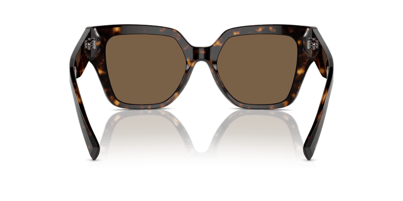 Dolce & Gabbana DG4471 in Havana / Dark Brown - Alternate View
