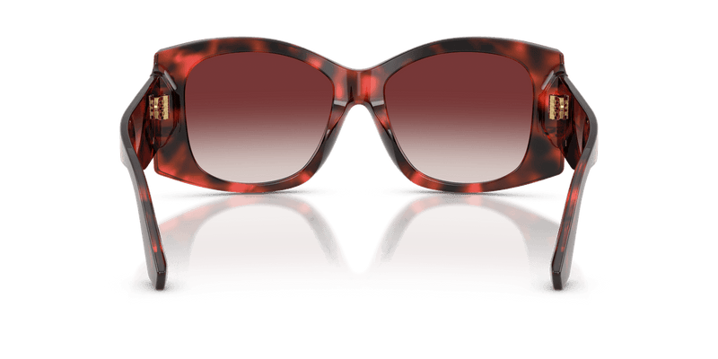 Dolce & Gabbana DG4501 in Red Havana / Clear Gradient Dark Brandy (33588H) - Alternate View