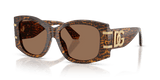 Leo Transparent / Dark Brown (347073)
