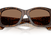Leo Transparent / Dark Brown (347073)