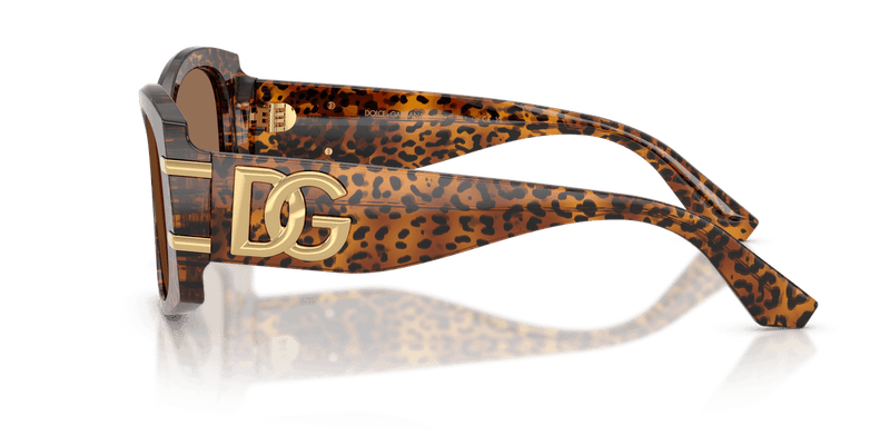 Dolce & Gabbana DG4501 in Leo Transparent / Dark Brown (347073) - Temple Detail
