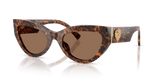 Leo Transparent / Dark Brown (347073)