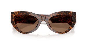 Leo Transparent / Dark Brown (347073)