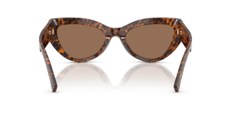Dolce & Gabbana DG4536 in Leo Transparent / Dark Brown (347073) - Alternate View